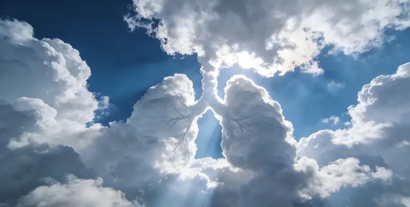 齐齐哈尔肺癌12基因ctDNA突变检测(血液）图片1